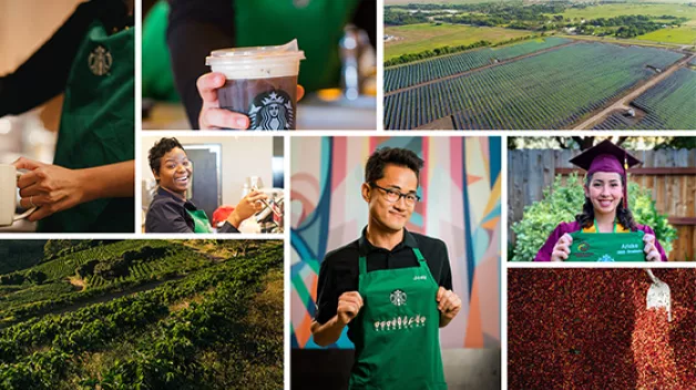 C06_Responsibility_Reporting