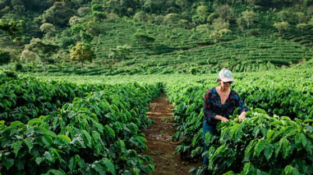 C06_Responsibility_sustainability