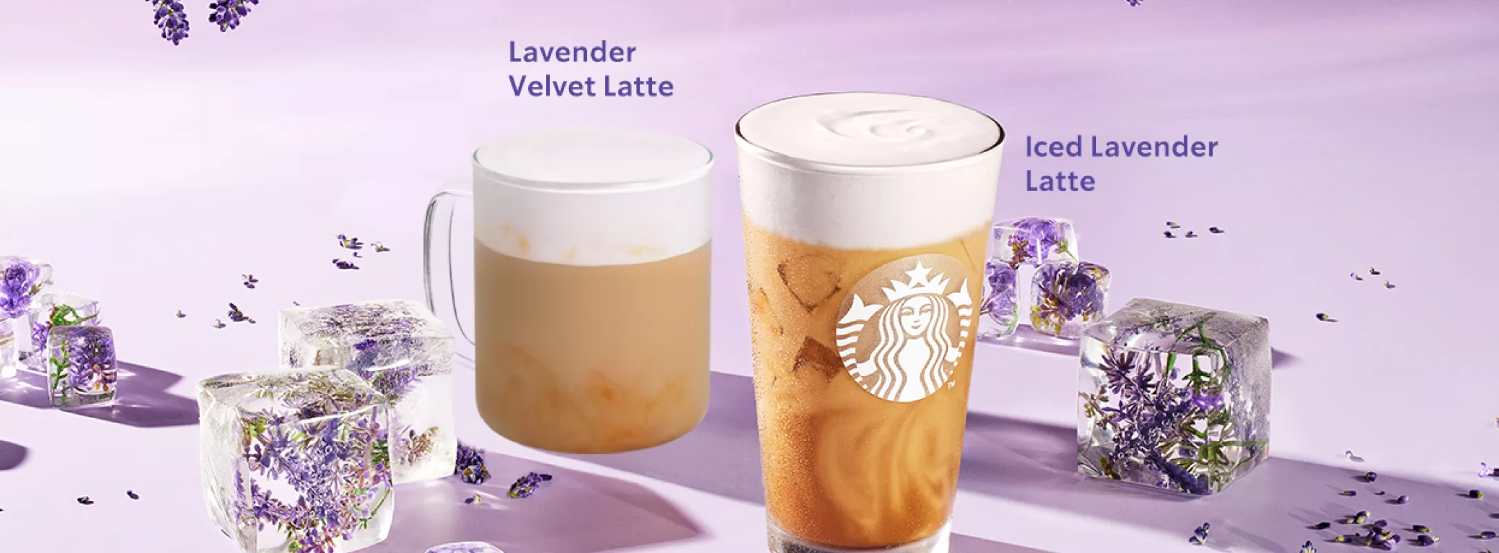 Lavender Homepage 